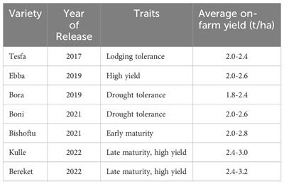 Tef as a case for investment in orphan crop breeding and seed systems development